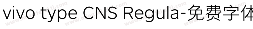vivo type CNS Regula字体转换